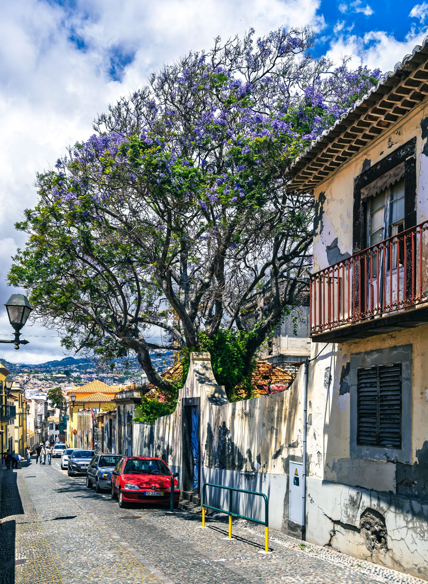 20250509 134357 Funchal   267, Rua de Santa Maria, Socorro, Santa Maria Maior, Funchal, Madeira, 9060 400, Portugal